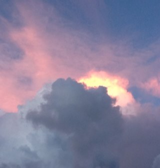 emmagu_'s profile picture. 