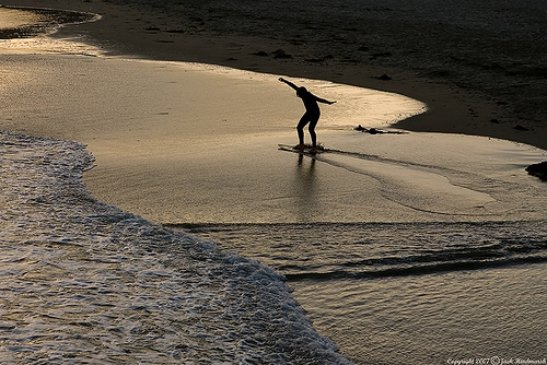 Life Surfer