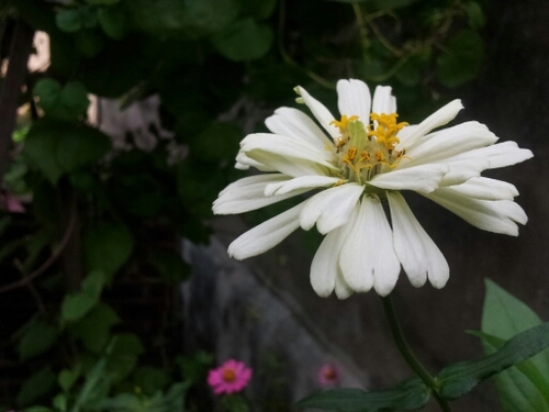 epeconomy's profile picture. 주민과 함께 하는 은평경제신문 공식 트위터입니다.