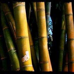 privatescreens's profile picture. We are a group of doctors who are concerned about the safety and the ethics of private screening tests.