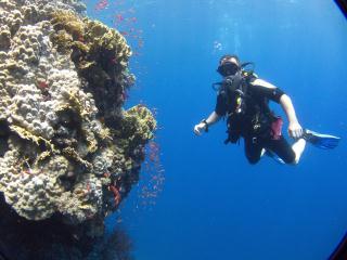 chiptech62's profile picture. PADI Master Scuba Diver, LFC and Gills fan and lover of the sunshine