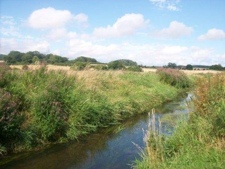 Environmental Project Officer working on a new project that will work with communites to improve 9 Chalk Rivers in Norfolk. (Pictured River Glaven)