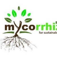 Biocult (@mycorrhiza) 's Twitter Profile