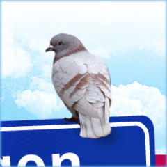 starterskavel's profile picture. Albergen - Tubbergen - Starterskavels - Weemselerveld Zuid