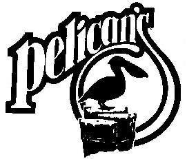 PelicanSurfClub's profile picture. Pelican's...Your seaside getaway