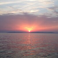 Modesto Prieto (@modesttp) 's Twitter Profile