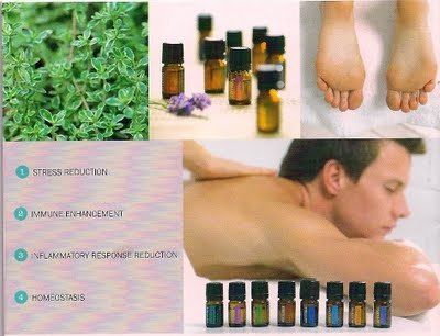 Aspire for the essentials Mind/Body/Spirit. Aromatherapy, Essential Oils, Aromatouch, and therapuetic massage. Holistic Registered Nurse & LMT