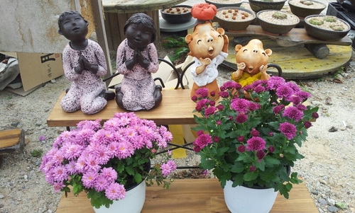 盡人事待天命의 자세로 항상 감사와 겸손으로 살아 가려고 노력하는 한사람입니다. 항상 상식이 통하고 좌로나 우로나 치우치지 아니하고 인륜의 도리를 생각하며 살아가려고 노력합니다ᆞ