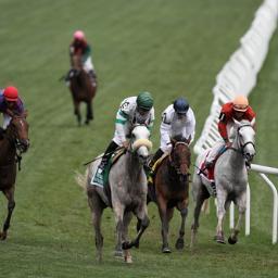 sportstipsnow's profile picture. Welcome to Sports Tips for today….We have set up our website to give the best of both worlds..FREE TIPS and access to FREE BETS with all of the top Bookmakers