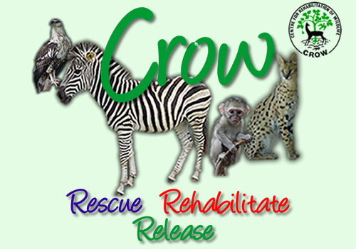 Wildlife Rehabilitation Centre in Durban, South Africa