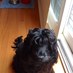 MAREE GUPPY (@mareemagpie) Twitter profile photo