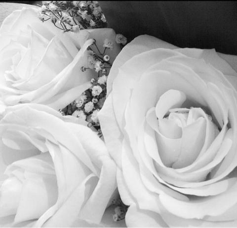 Waashiiii's profile picture. 