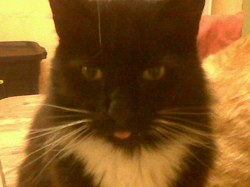 EborahdDeborah's profile picture. 