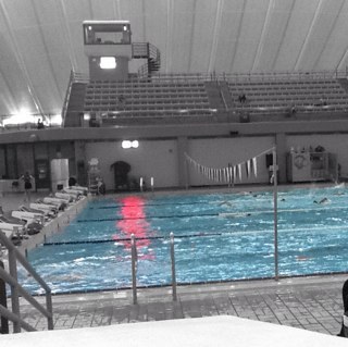 By a swimmer, for a swimmer! I eat, breathe and live swimming! I basically have no social life... And I always smell like chlorine...