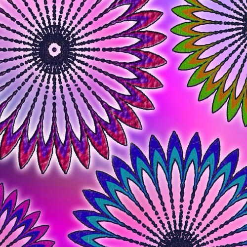 FranWheat's profile picture. 