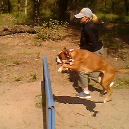 vencina1's profile picture. C годами перестают удивлять подлость, предательство и лицемерие, зато все больше  изумляют добродушие, надежность и открытость.