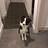 Mavstrong's profile image