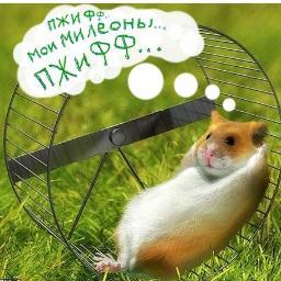 hamster_navalny's profile picture. Любимое домашнее животное фюрера всех оппозиционеров Алексея Навального.