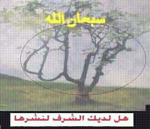 kzgem's profile picture. 