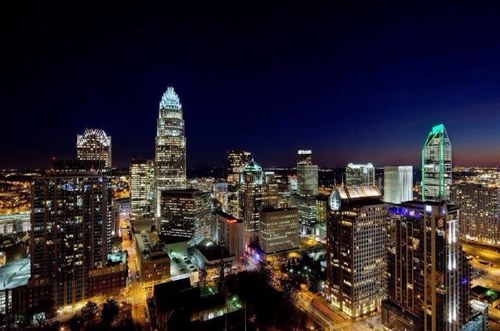 hippytripi91's profile picture. 