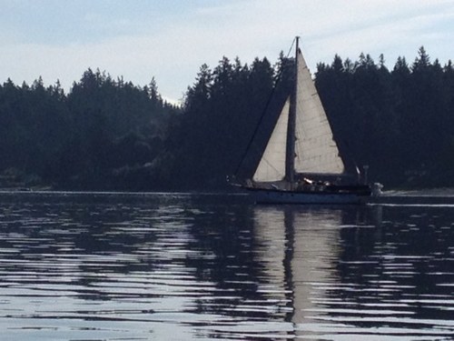 scottjrw's profile picture. 