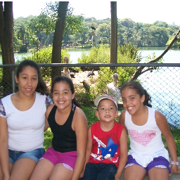 Construindo a minha vida, buscando os meus sonhos, caindo e levantando, vivendo e aprendendo.