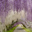 Yolanda Cañas Guerra - @yolura - Twitter