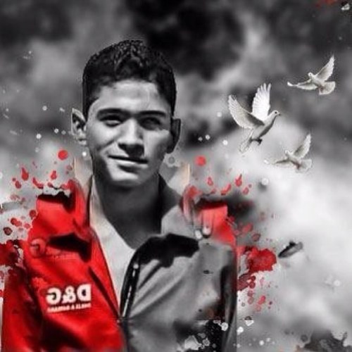 صفحة الشهيد علي حسين نعمة تصفح في حياة الشهيد اقراء تغريداته