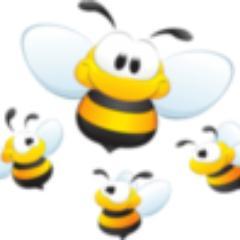 Gardening, carpet cleaning, domestic cleaning and much more. See web for details.