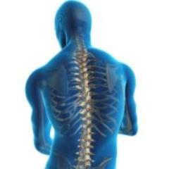 SpineDisorders's profile picture. 