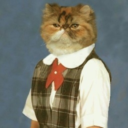 ging_kelso's profile picture. abuse the privileges