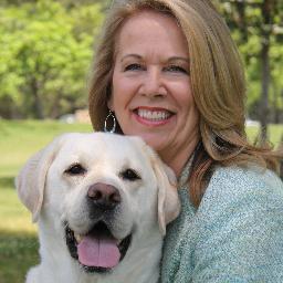 celebrationdogs's profile picture. Over 22 years of experience in service dog industry. Passion is service dog education, dog blogging, affiliate marketing, eCommerce