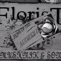 Herbert Mushnik (@mushnikandson) 's Twitter Profile