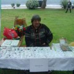 klarakovesi's profile picture. 