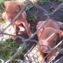 ryan bonner - @kane31204ryan - Twitter