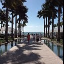 Danielle Palumbo - @dcpalumbo - Twitter