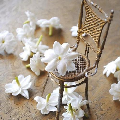 hamsalyasmeen0's profile picture. ‏اللهم إني أسألك بأني أشهد أنك الله لا إله إلا أنت الأحد الصمد الذي لم يلد ولم يولد ولم يكن له كفواً أحد ⁦أن تغفرلي آللهم صل وسلم وبارك على حبيبنامحمد