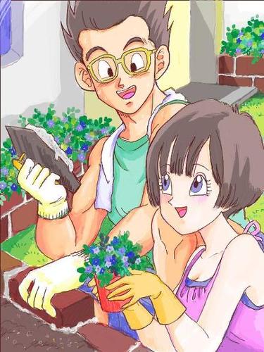 hola, soy Videl la hija de Satan y mujer de Gohan, y mi hija es @Son_pan__