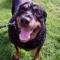 Joanne Turner (@jo_t_x) 's Twitter Profile