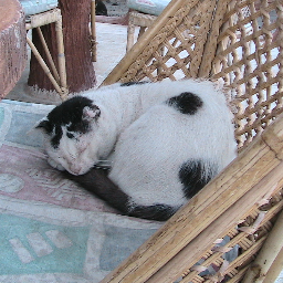 iizajun's profile picture. Freelance writer(photographer) covering the occupied  Palestine and  Israeli community.And so on.　MｙYouTube：https://t.co/WKhBU9K0l8