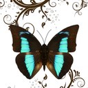 Lynn Mosley - @LLMosley - Twitter