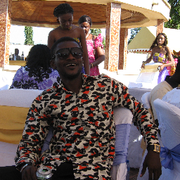 festiblaazee's profile picture. 