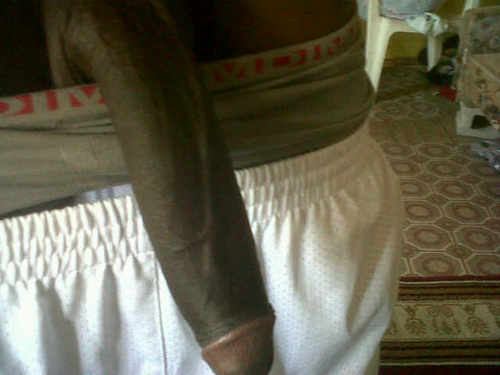 massive white cock massive white cock