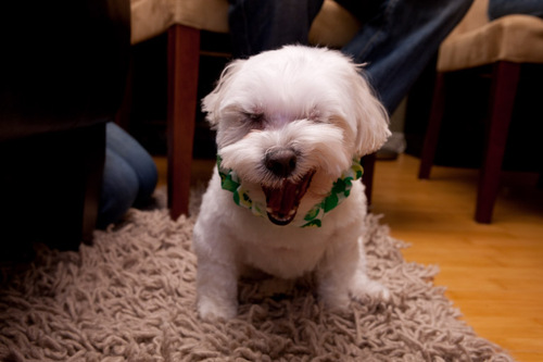 1tb's profile picture. 