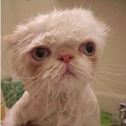 juanjehg's profile picture. 