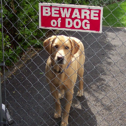 mom of twins plus a golden and golden/lab cross, writer/editor by day, tired Met fan by night