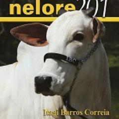 A revista oficial dos criadores de Nelore!