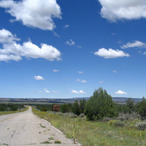 Navajo Nation resident, turquoise lover, sunset soak-in-er, Ponderosa forest explorer, Pinon picker
