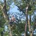 American Arborists (@aarborists) Twitter profile photo American Arborists (@aarborists) Twitter profile photo