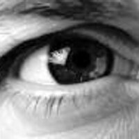 PETA WATCH (@petawatch) 's Twitter Profile